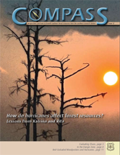 Compass issue 12