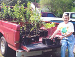 Cynthia Flanders with a truckload of trees