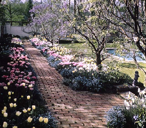 Shumway Garden, Lake Forst, Illinois