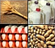 Collage of Common Food Allergens