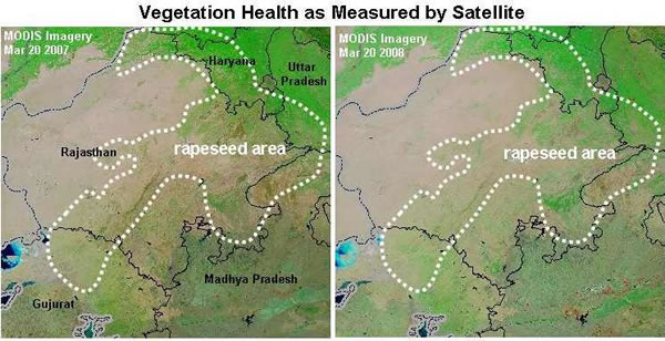 MODIS Satellite Imagery Comparison