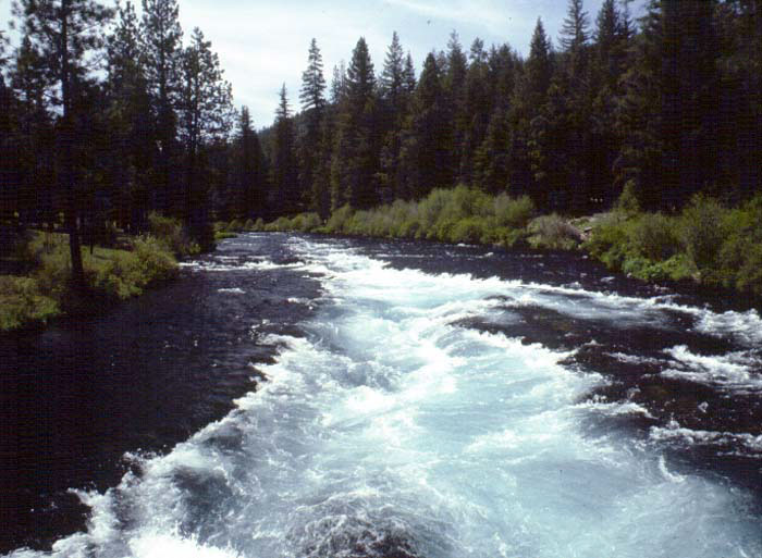 Photo of Wizard Falls on Metolius River