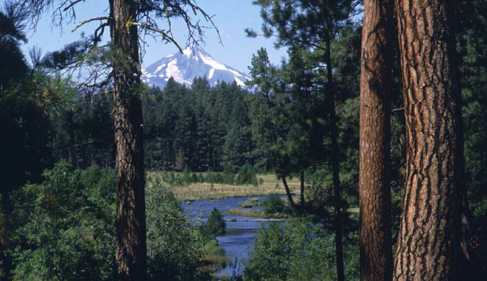 Photo of Mt. Jefferson from the Head of the Metolius River