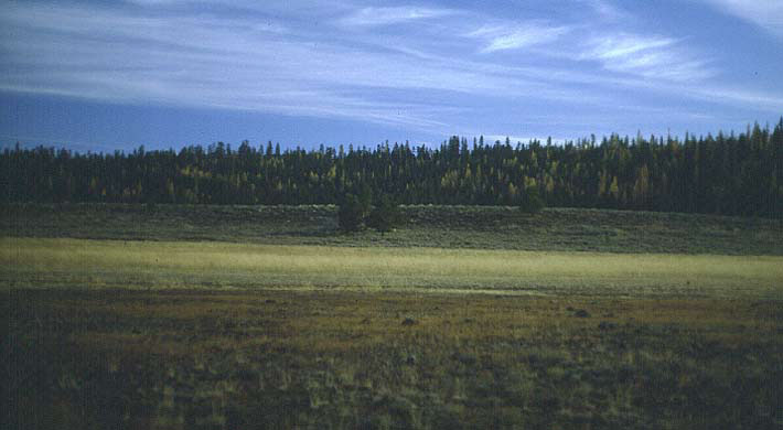 Photo of Little Summit Prairie