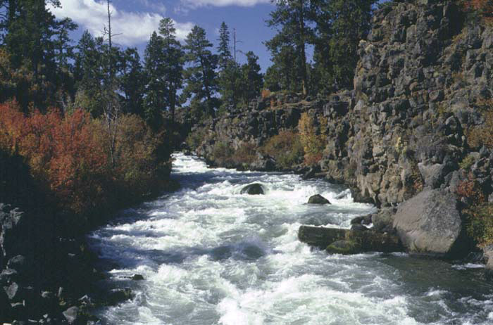 Photo of Dillon Falls on Deschutes River