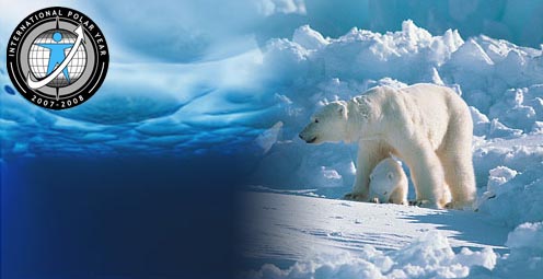 Photograph showing glaciers, and a polar bear walking on the glacier. - story details below