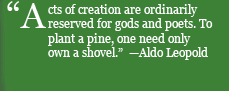 “Acts of creation are normally reserved for gods & poets. To plant a pine, one need only own a shovel.” —Margaret Mead