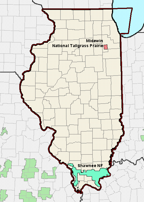 Illinois National Forest Map