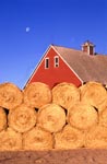 Small farm near Ames, Iowa (Agricultural Research Service photo by Scott Bauer-- click to enlarge)