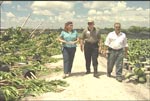 (from left) Miami/Dade District Conservationist Christine Coffin, State Conservationist Niles Glasgow and Area Conservationist Jeff Schmidt look at damage done to a nursery in the aftermath of Hurricane Katrina