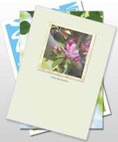 Give-A-Tree Greeting Cards