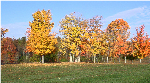 early autumn in Jackson County, Ohio (NRCS Ohio photo gallery image by Rob Rhyan -- click to enlarge)