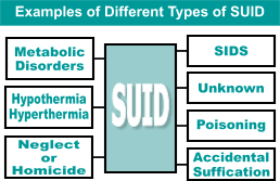 Examples of different types of SUID are SIDS, suffocation, poisoning, falls, and others graphic.