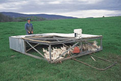 moveable pasture poultry pen