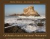 Piedras Blancas - San Simeon