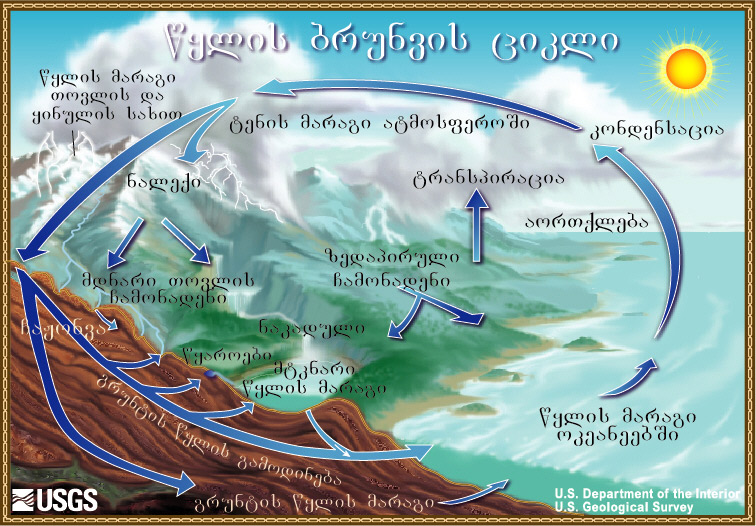 The Water Cycle. 