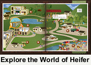 Explore the World of Heifer