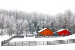 barn and fences in winter snow (click to enlarge)