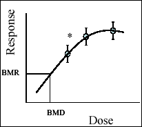 Benchmark dose (BMD) modeling is an approach in which the dose response is modeled and the lower confidence bound for a dose at a specified response level is calculated.