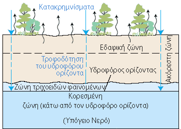 Διάγραμμα: Βροχή που διεισδύει στο έδαφος - Diagram showing how precipitation water seeps into the ground. 