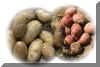 Thumbnail of potatoes