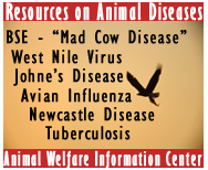 Information Resource Guides on Animal Diseases available from AWIC