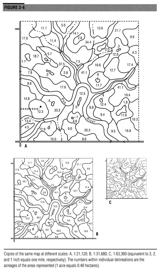 Copies of the same map at different scales.