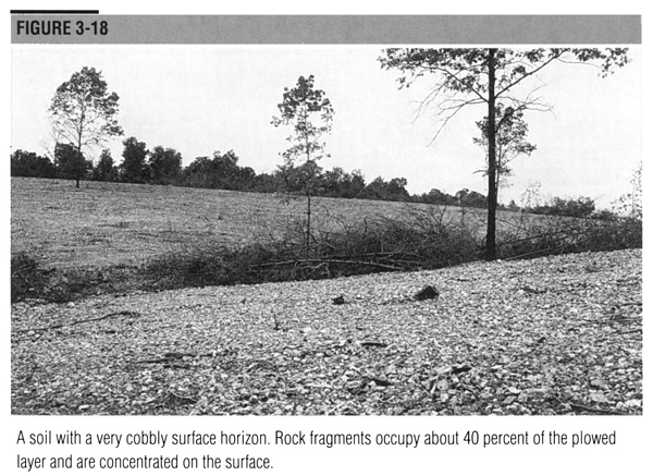 A soil with a very cobbly surface horizon.