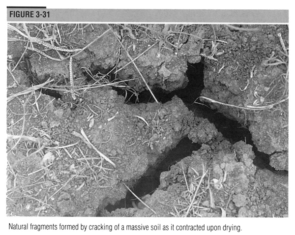 Natural fragments formed by cracking of a massive soil as it contracted upon drying.