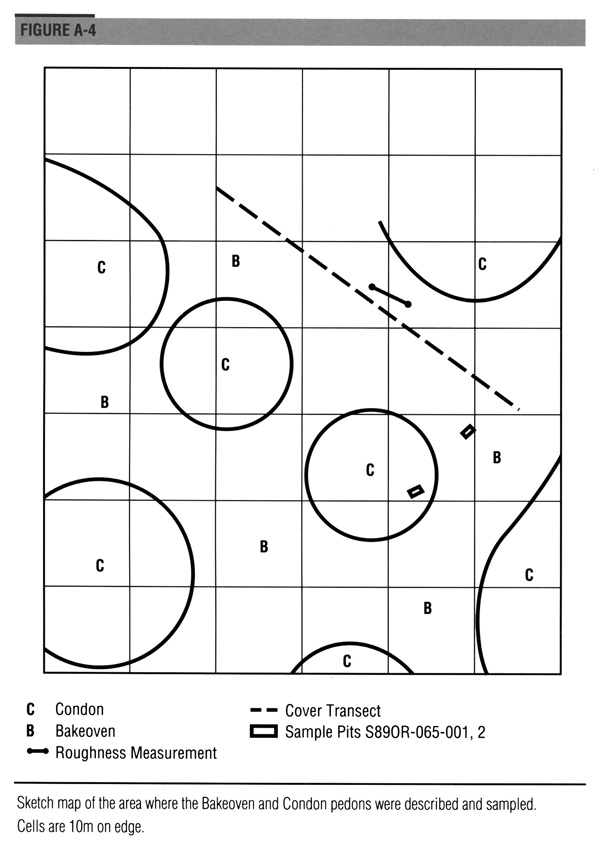 Sketch map of the area where the Condon and Bakeoven pedons were described and sampled