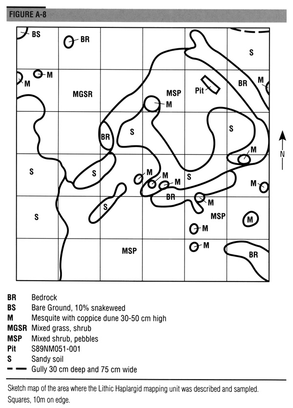 Sketch map of the area where the Lithic Haplargid pedon was described and sampled.