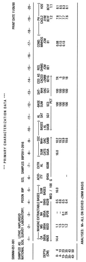 Lithic Haplargid Primary Characterization Data, page 2