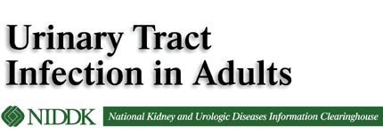 Urinary  Tract Infections in Adults