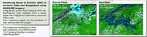 Monitoring floods using MODIS RR imagery — view enlarged image.