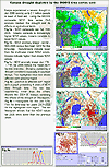 Kenyan drought MODIS time series — view enlarged image.