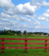 Image of the open country with a red fence.