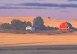 farm at sunset