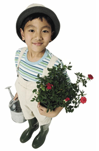 A boy is holding a pot of roses with watering can.