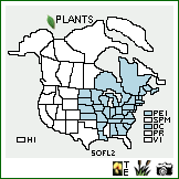 Distribution of Solidago flexicaulis L.. . Image Available. 