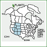 Distribution of Solidago nana Nutt.. . 