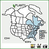 Distribution of Solidago puberula Nutt.. . Image Available. 