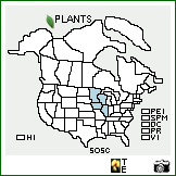 Distribution of Solidago sciaphila Steele. . Image Available. 