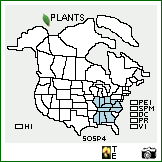 Distribution of Solidago sphacelata Raf.. . Image Available. 