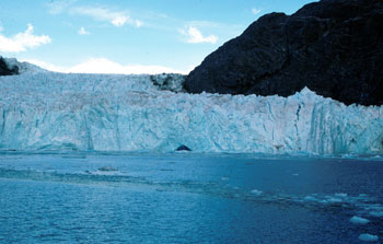 1980 Photo of Muir Glacier
