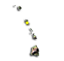 Image of Hawaii with a star pinpointing the location of the capital.