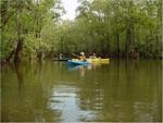 Kayaking is a favorite pasttime on the waterways of Big Thicket.