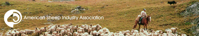 Sheep Header