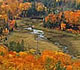 Photo: Forest gap with trees in fall colors