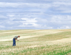 Researcher Perry Miller in field