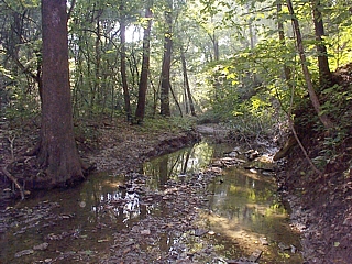 Metro-East, Canteen Creek